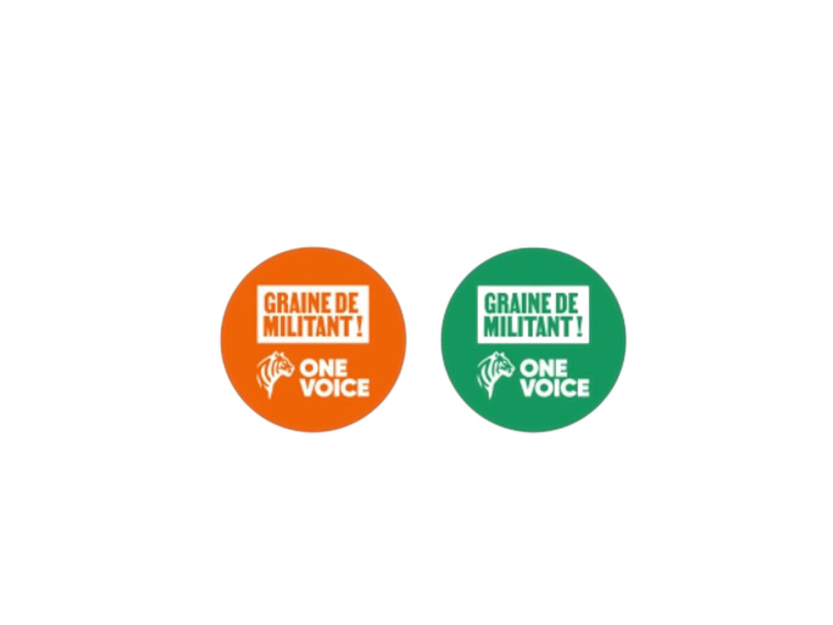 Badges Graine de Militant